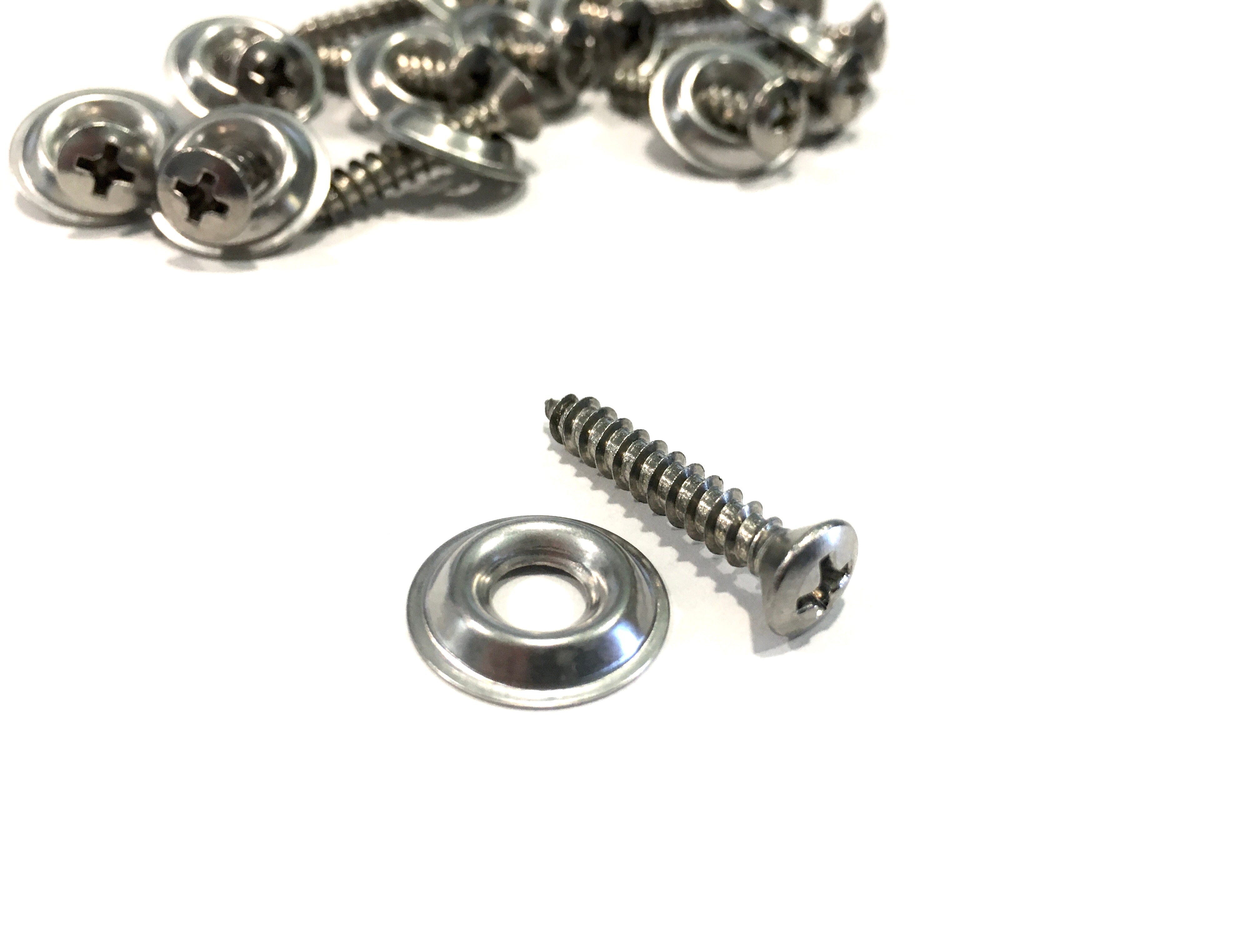 Scout II Door Panel Stock Screws and Washers