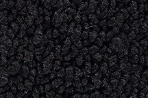 Scout Carpet Kit - Black Loop
