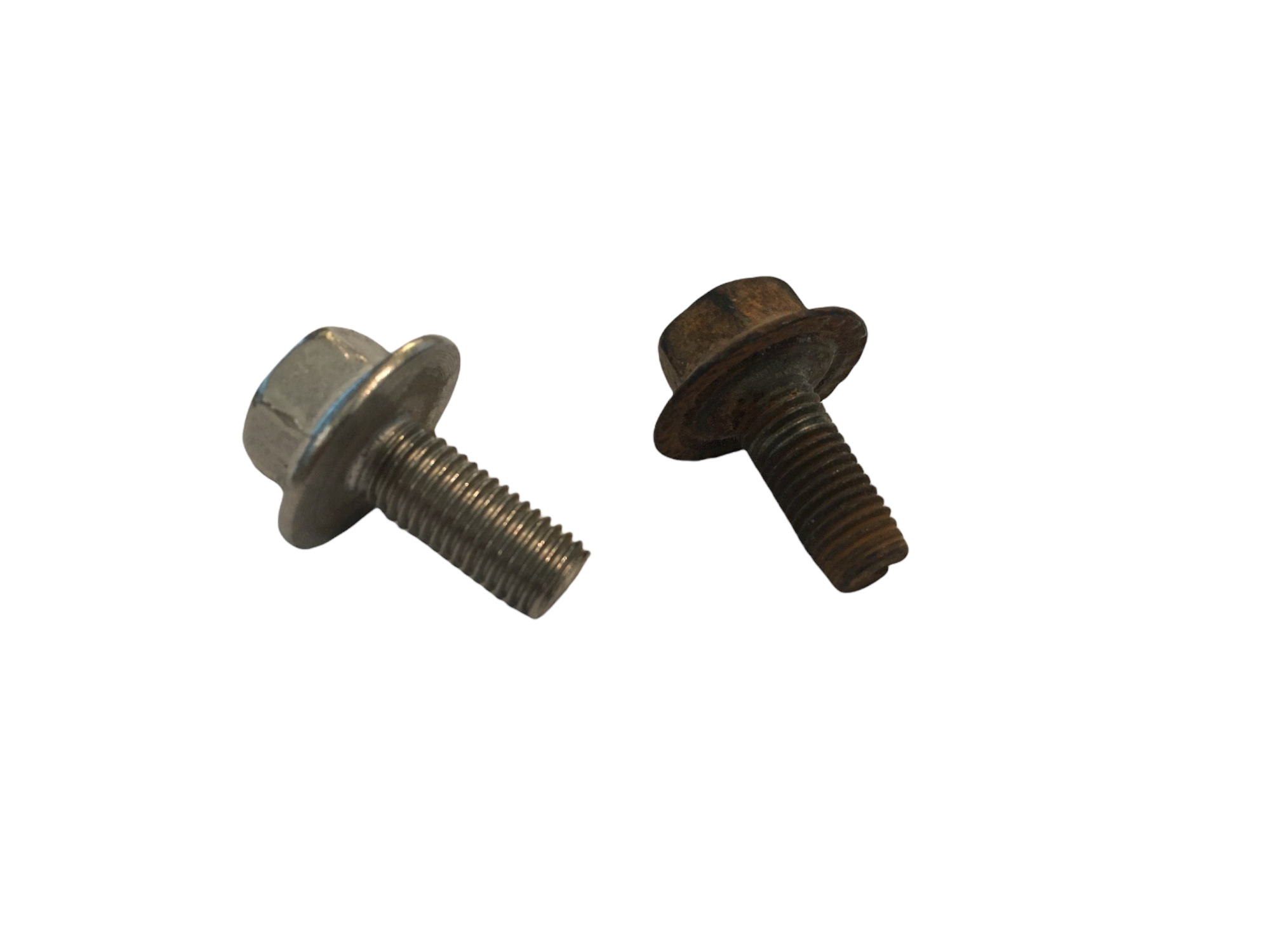 Scout 80 800 Fender Bolt Stainless