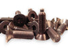 Scout 80 800 Door Hinge Bolt