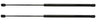 Air Liftgate Strut Scout Traveler
