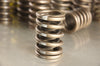 Performance Valve Springs IH V-8